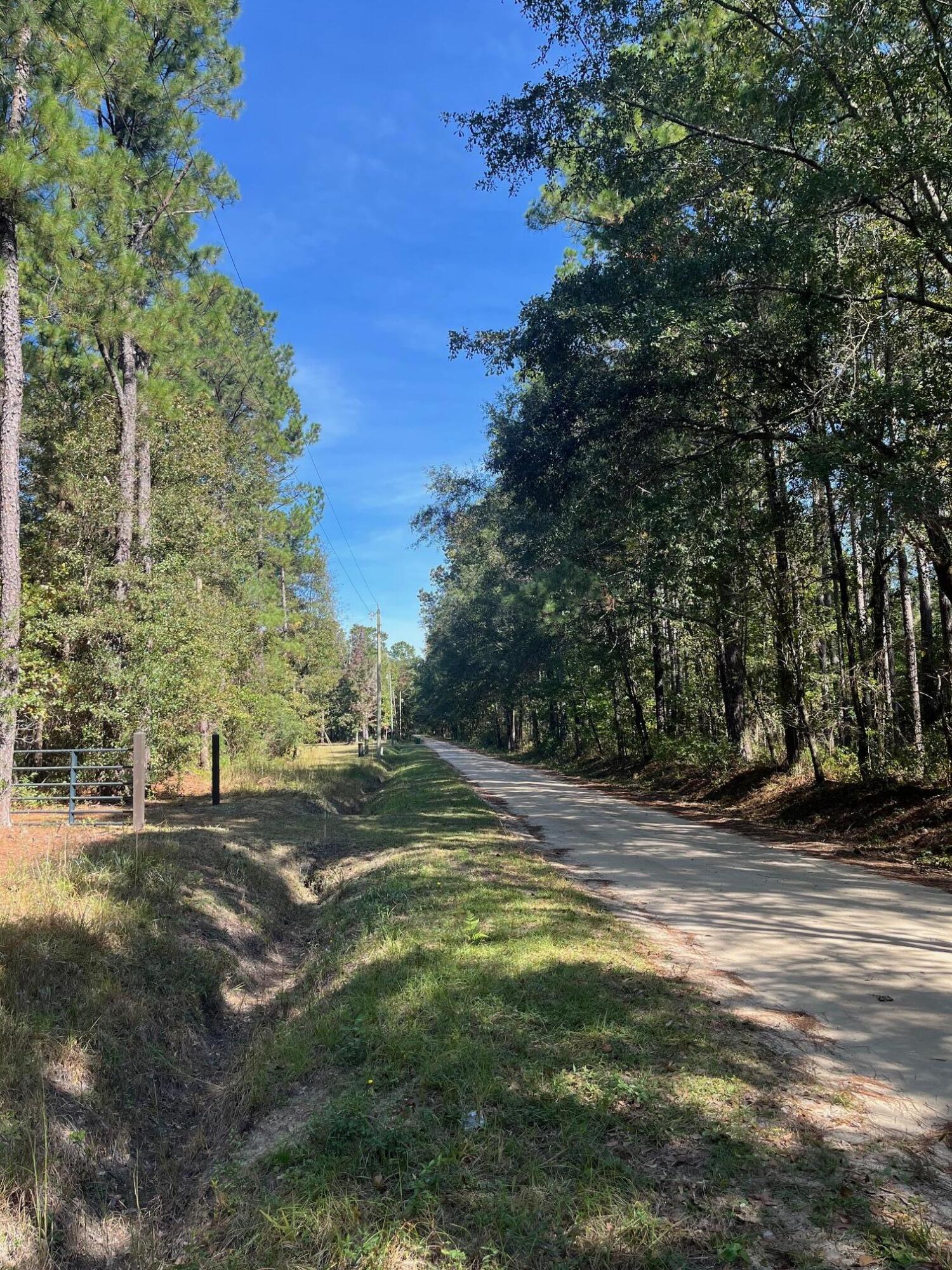 9168 Old Georgetown Road McClellanville, SC 29458 - Photo 11 of 45 image0