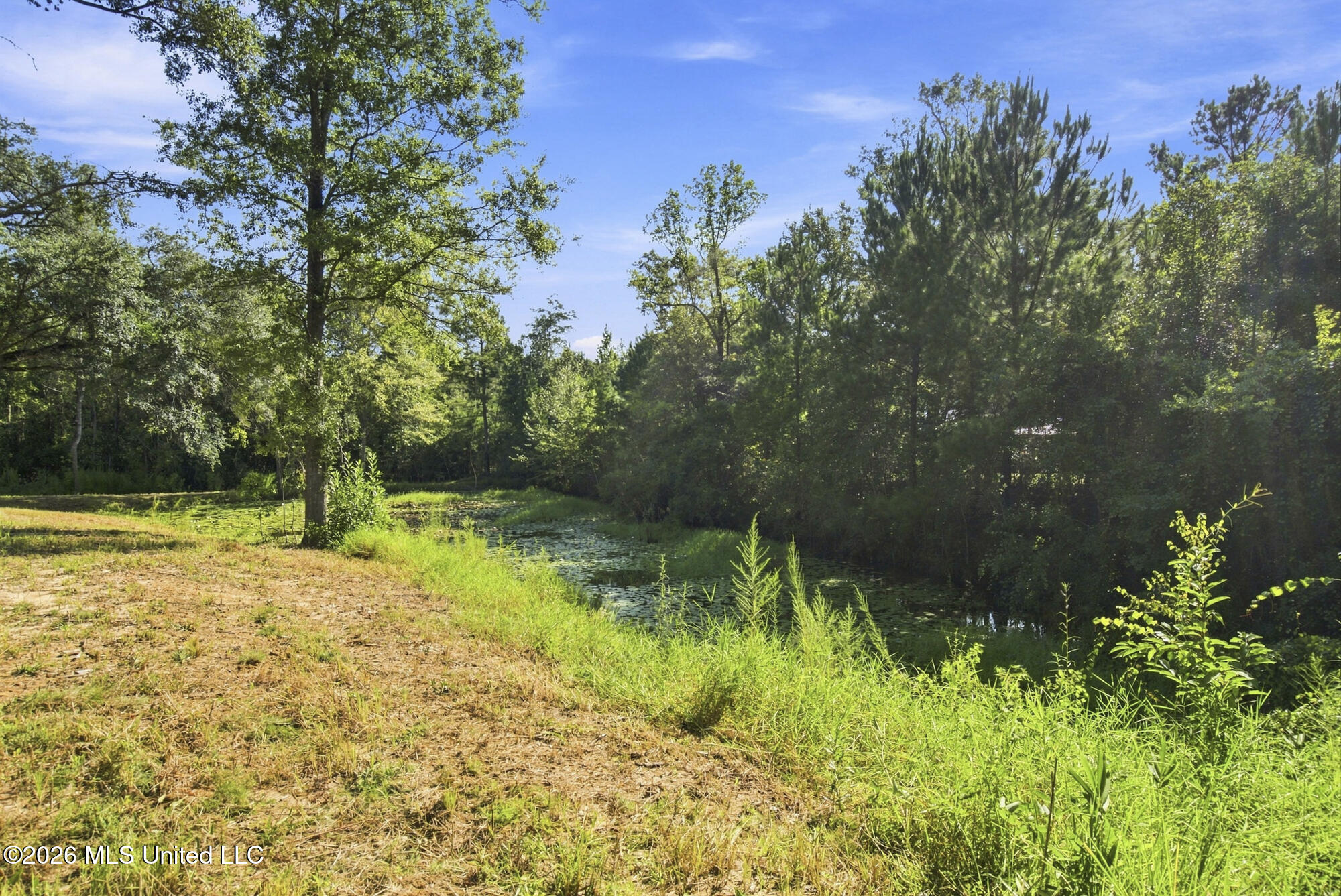132 Cody Goldman Road Lucedale, MS 39452 - Photo 11 of 48 IMG_1562