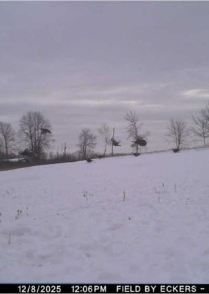 W17810 Eland Road Wittenberg, WI 54499 - Photo 73 of 89