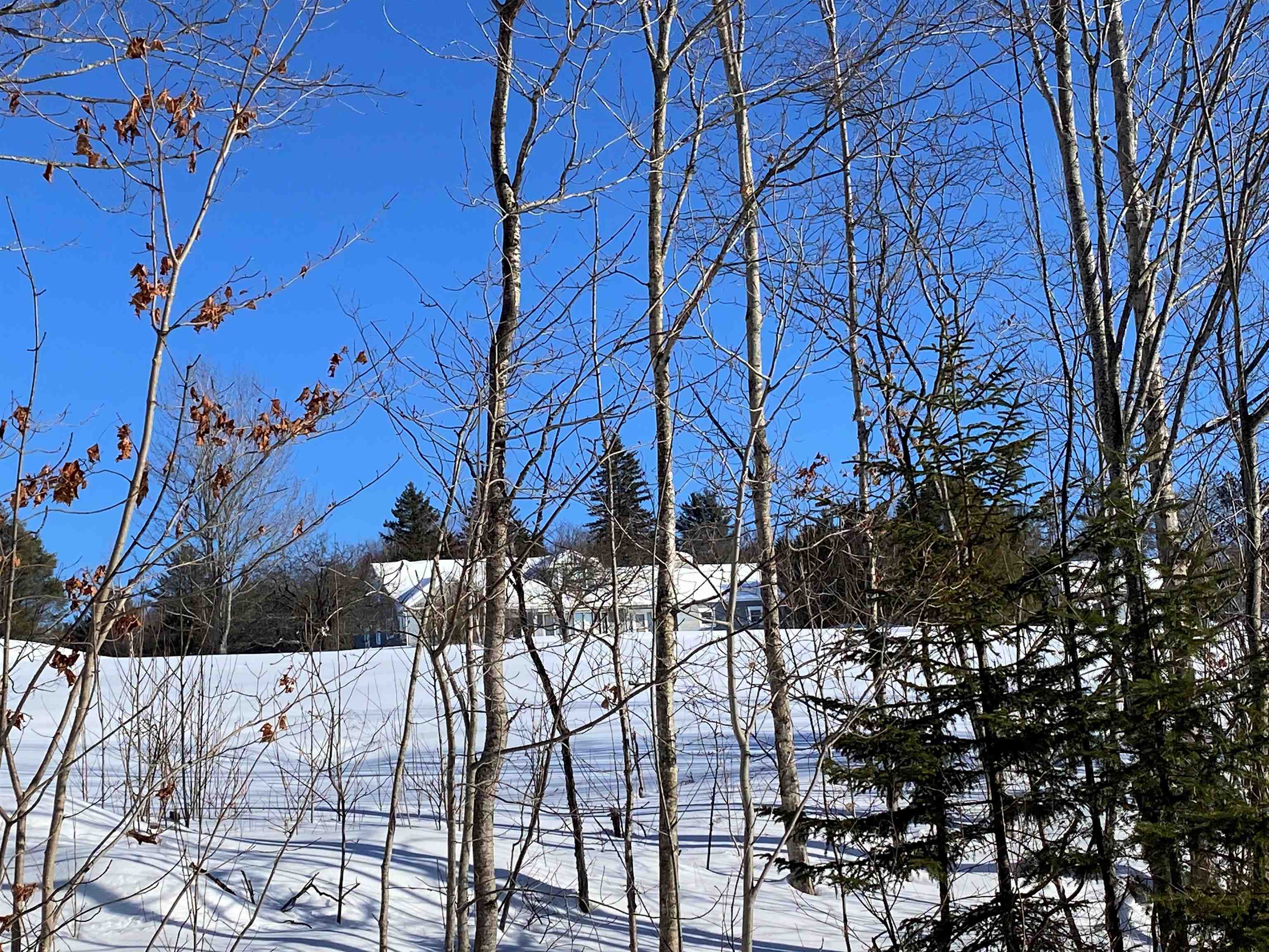 708 Gates Farm Road Elmore, VT 05680 - Photo 4 of 39