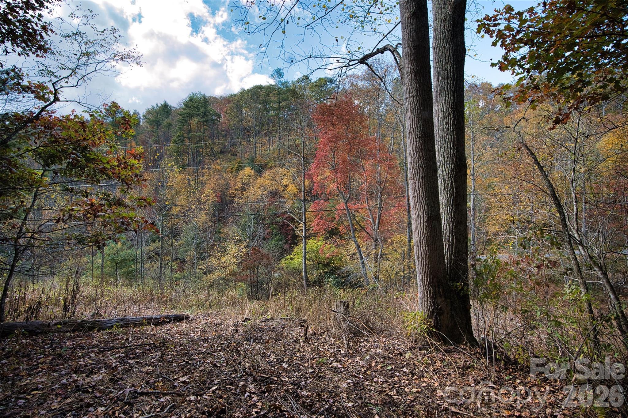 366 Renfro Road Green Mountain, NC 28740 - Photo 37 of 40 Gallery Image 37