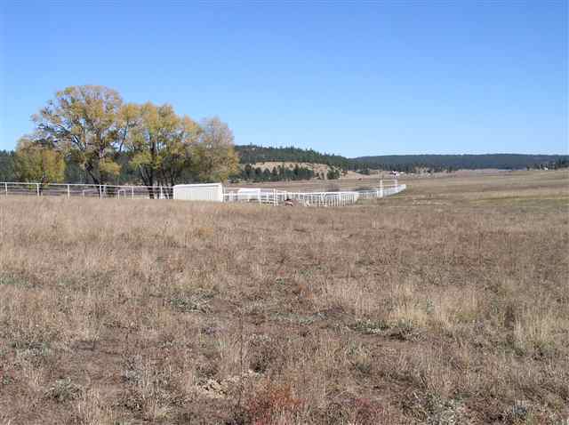 N2157 N2157 Alpine, AZ 85920 - Photo 4 of 5