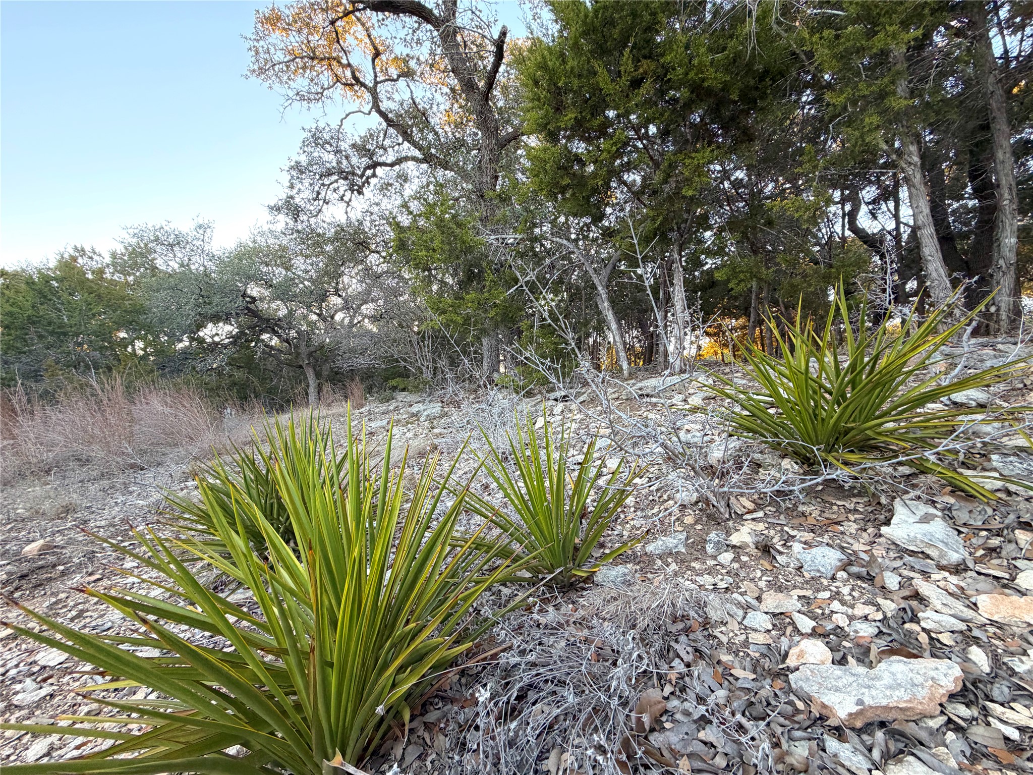 209 Legacy Ridge Canyon Lake, TX 78133 - Photo 8 of 12 View of undeveloped land