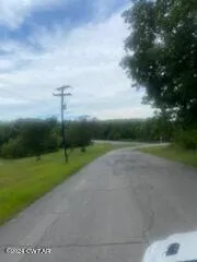 a view of a yard with a tree