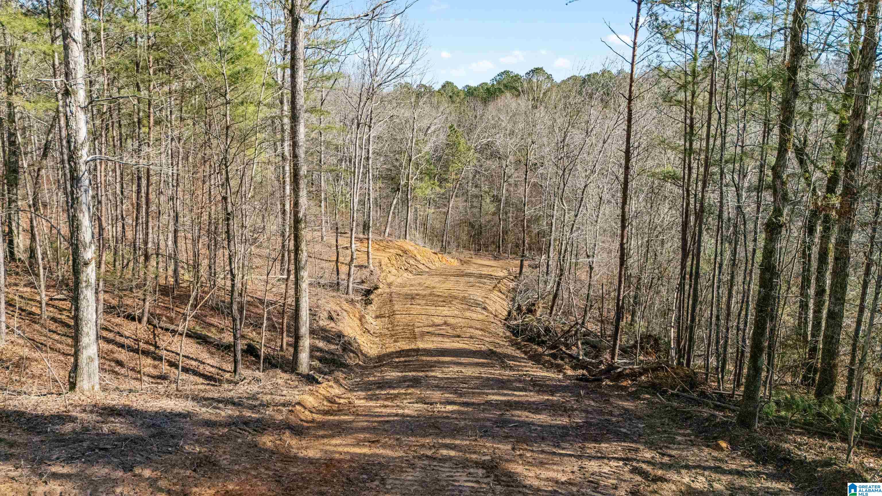 7019 Groundhog Road, Unit 1 Morris, AL 35116 - Photo 15 of 22