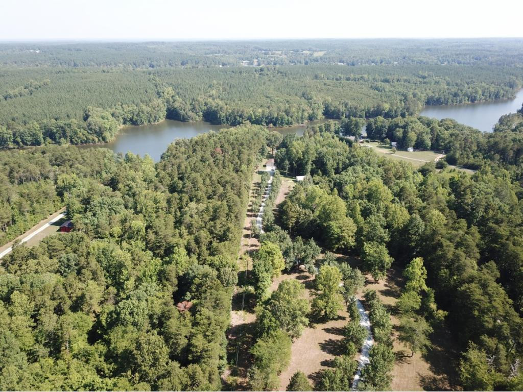 17 Estate Road Semora, NC 27343 - Photo 13 of 24 Gallery Image 13