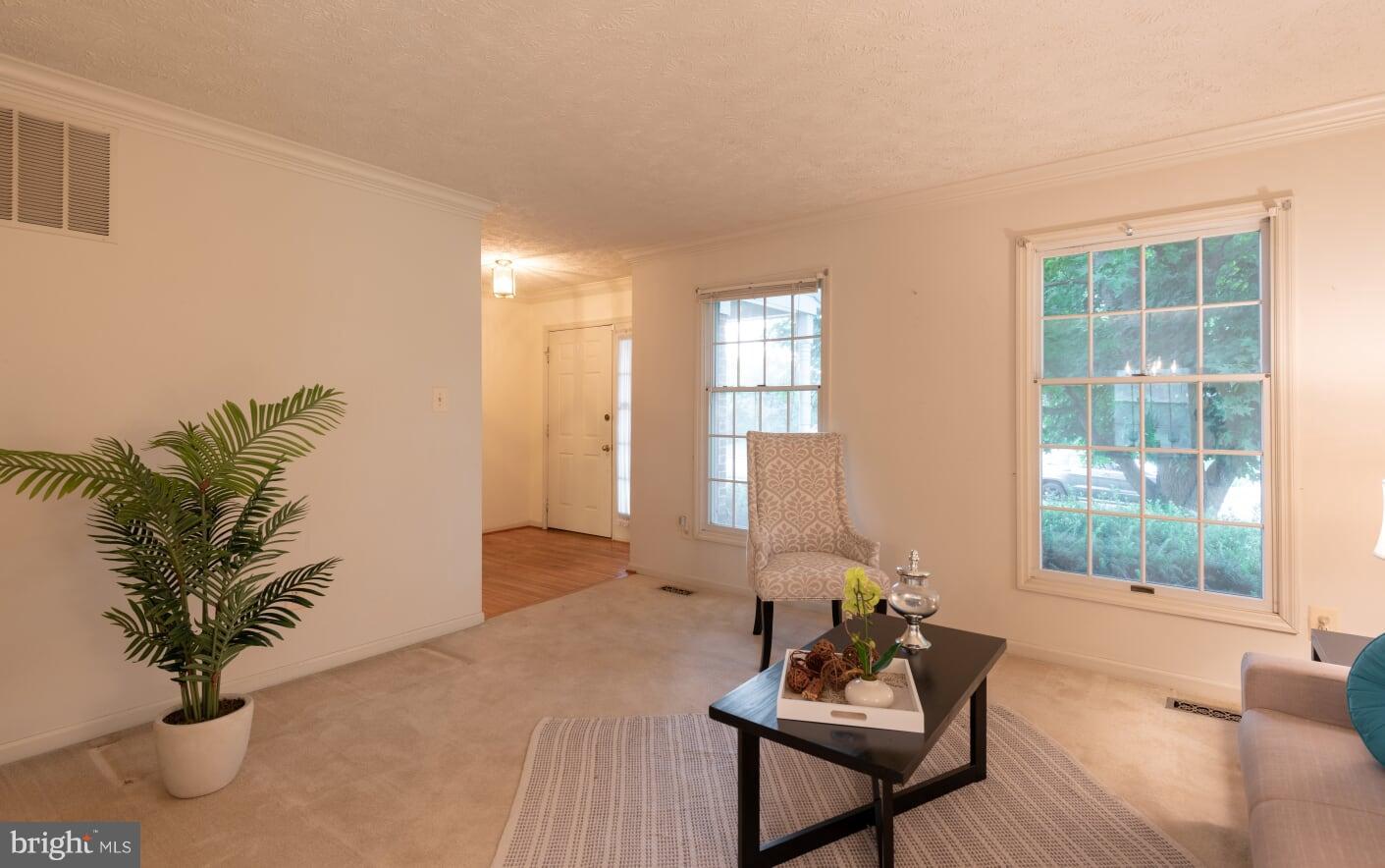 2216 Halter Lane Reston, VA 20191 - Photo 6 of 23 a living room with furniture and a potted plant