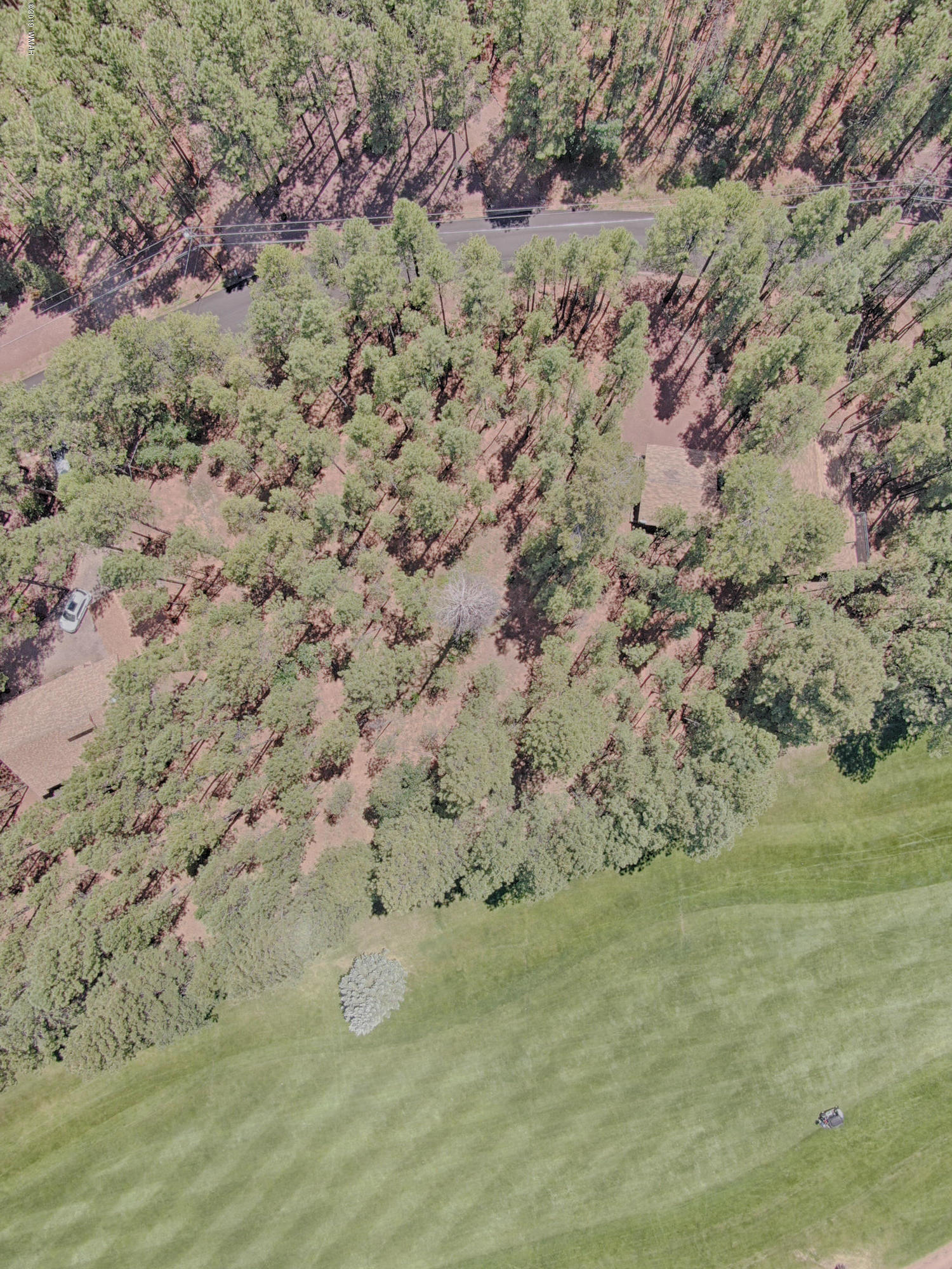 7318 Geronimo Road Pinetop, AZ 85935 - Photo 5 of 5 Gallery Image 5