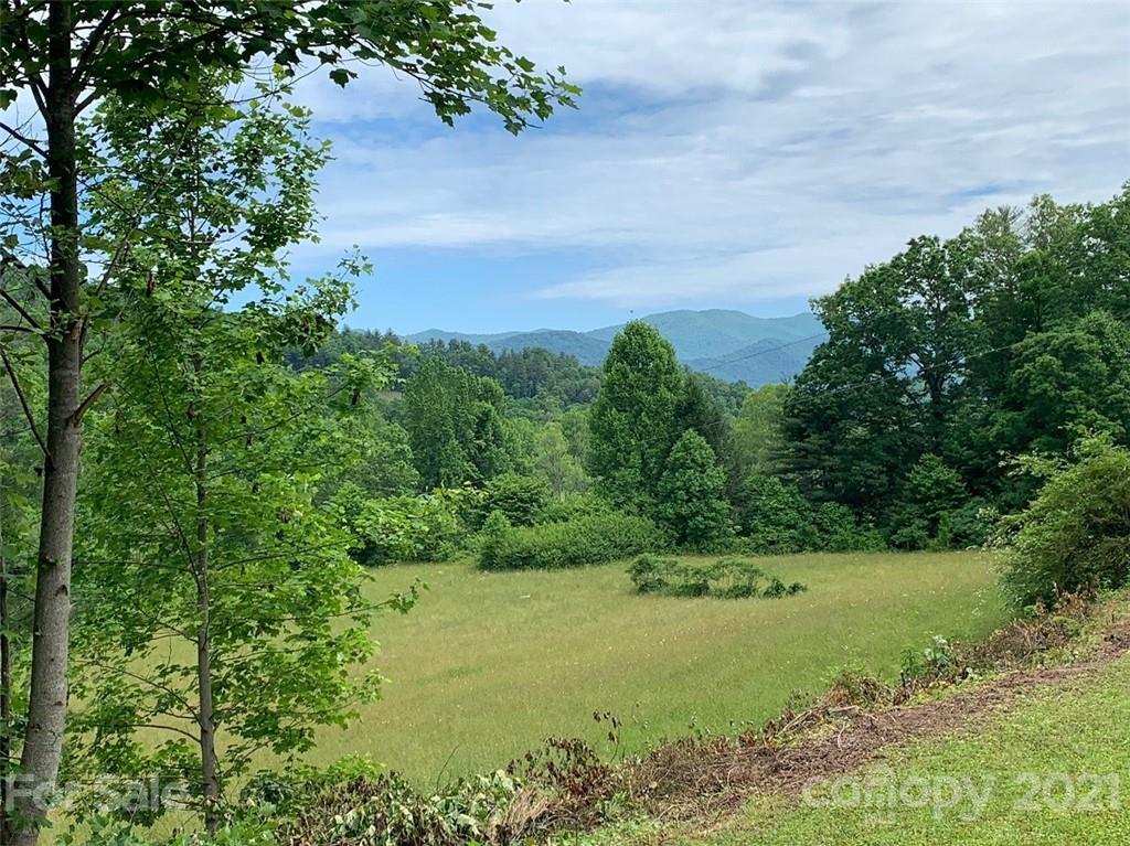 1485 Snowbird Road Robbinsville, NC 28771 - Photo 10 of 43 Gallery Image 10