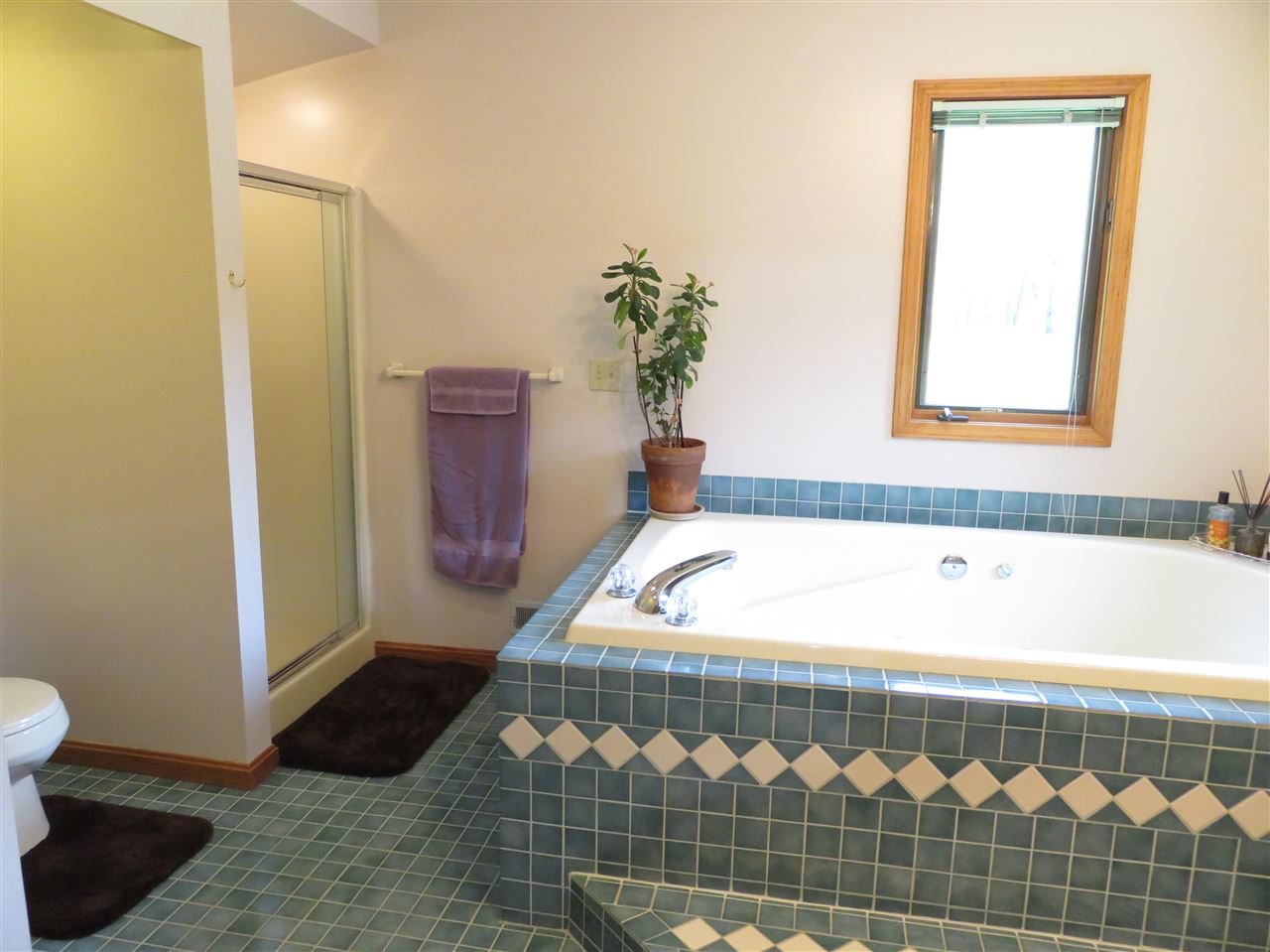 11499 Ruess Road Perry, MI 48872 - Photo 17 of 30