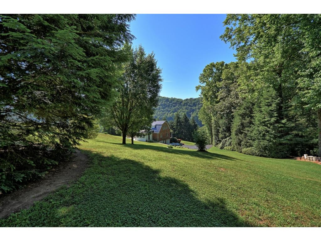 3734 Purchase Ridge Road Duffield, VA 24244 - Photo 4 of 36 Beautiful 3 acres
