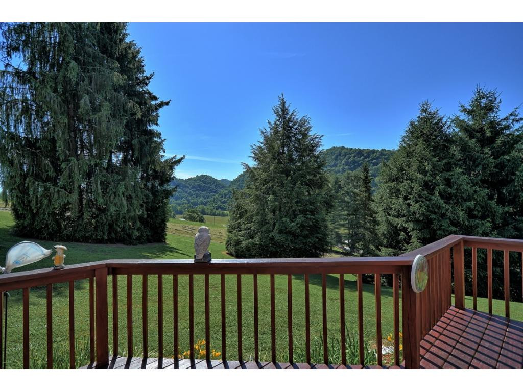 3734 Purchase Ridge Road Duffield, VA 24244 - Photo 7 of 36 Sit and Enjoy the Mountains