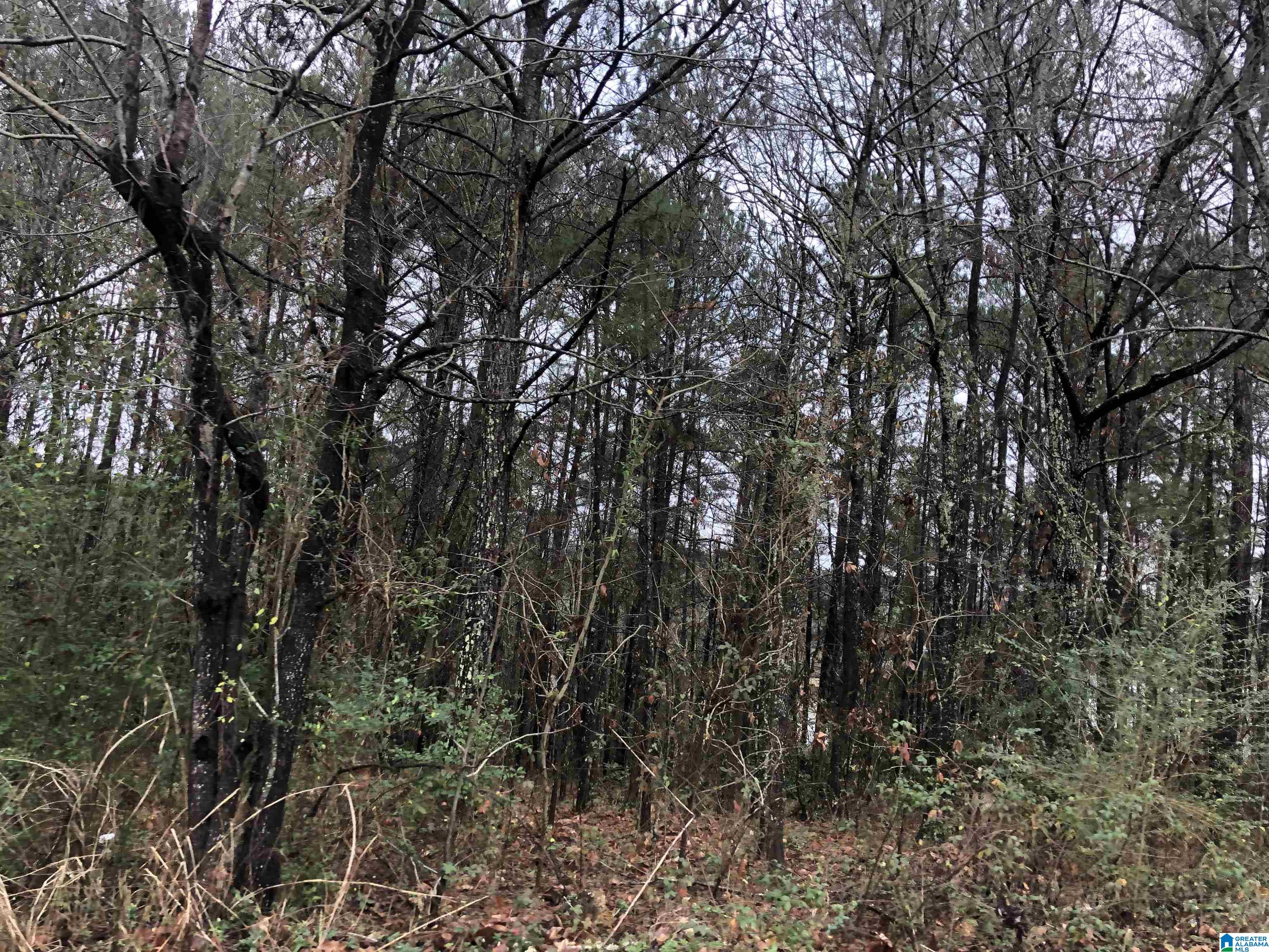 0 Autumn Ridge Trail, Unit 26 Pell City, AL 35128 - Photo 9 of 31