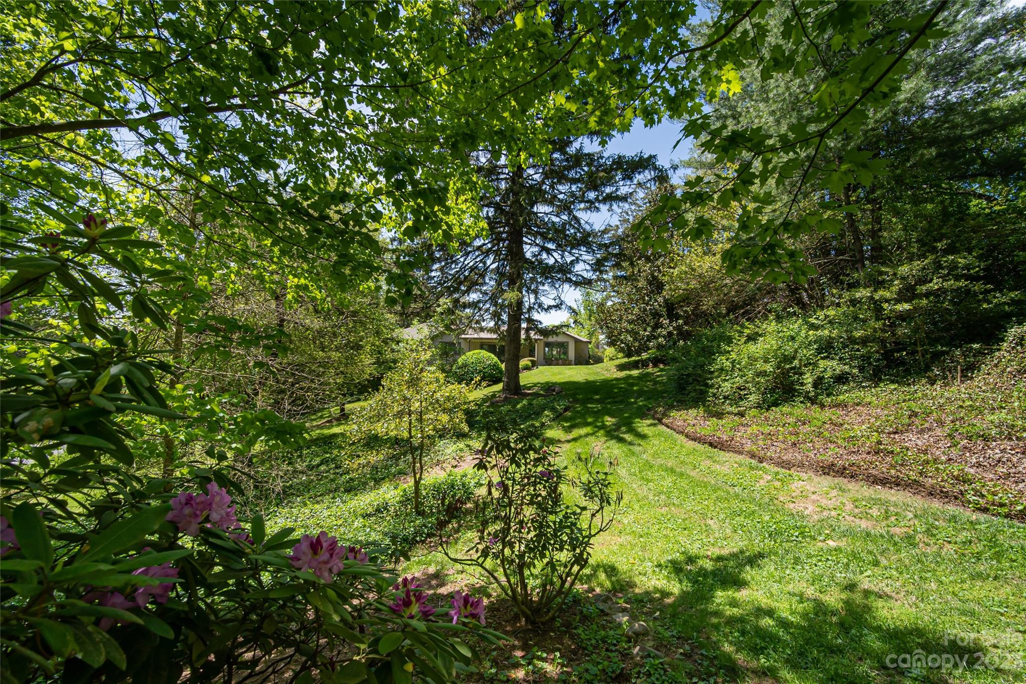 12 Club View Road Asheville, NC 28804 - Photo 42 of 47 a view of a yard with a tree
