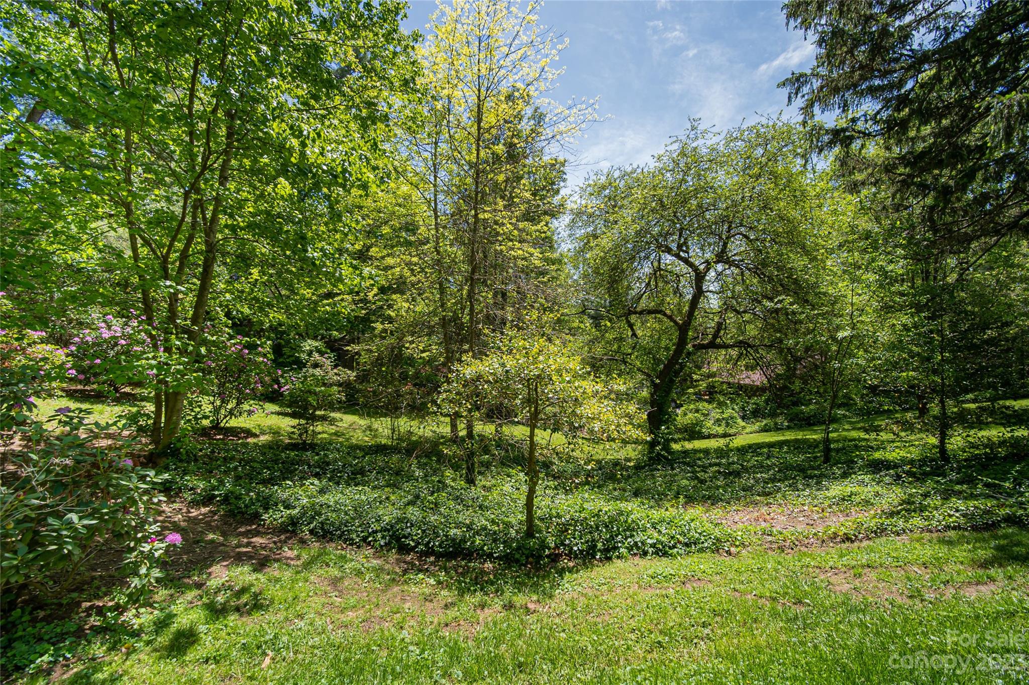 12 Club View Road Asheville, NC 28804 - Photo 43 of 47 a view of a garden