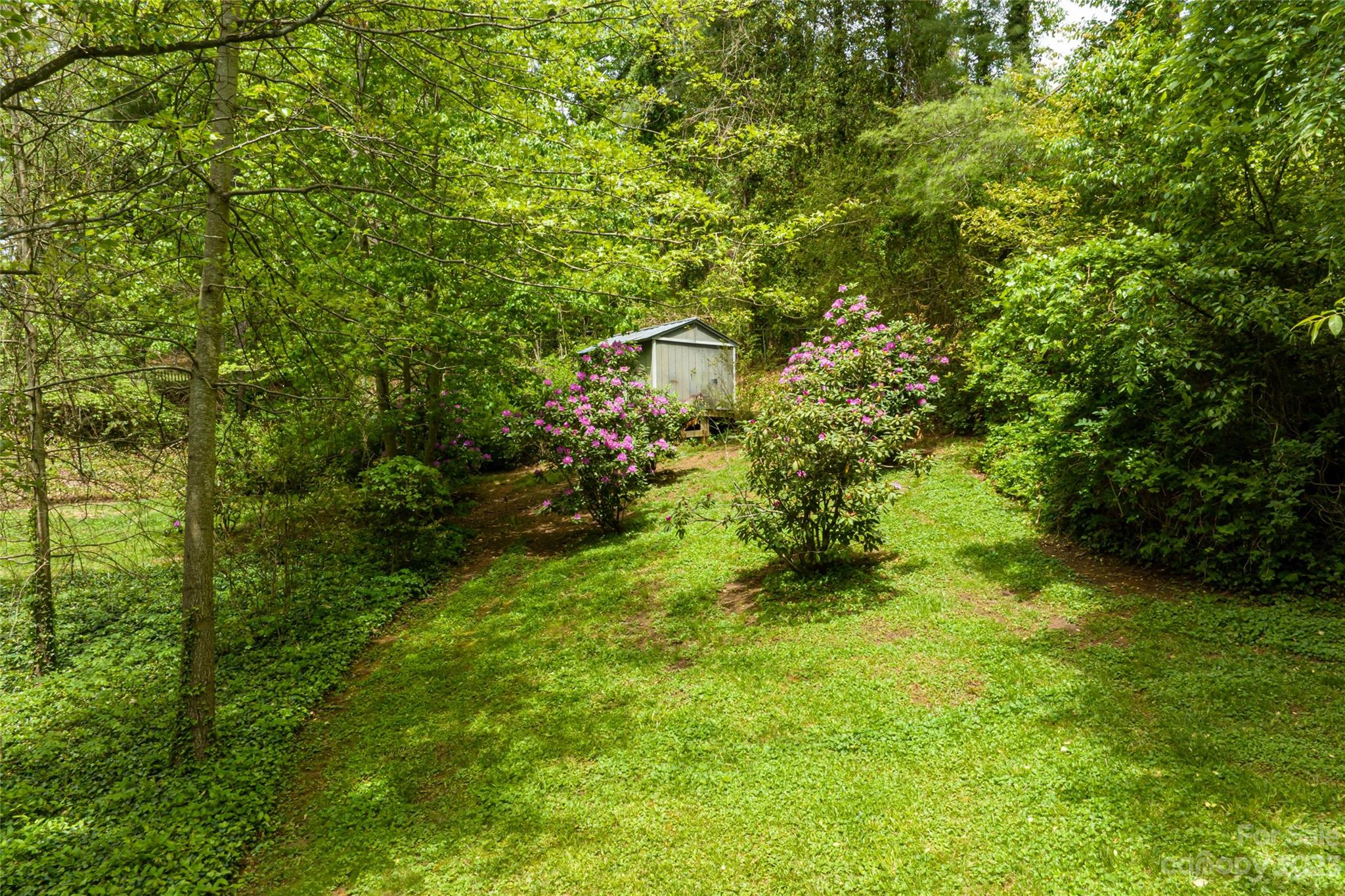 12 Club View Road Asheville, NC 28804 - Photo 44 of 47 a backyard of a house with lots of green space