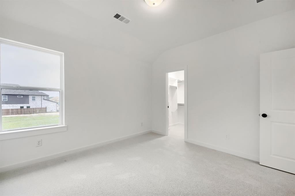 733 Red Cedar Road Haslet, TX 76052 - Photo 19 of 28 Spacious room featuring light-colored carpeting, a large window, and a walk-in closet with built-in shelving