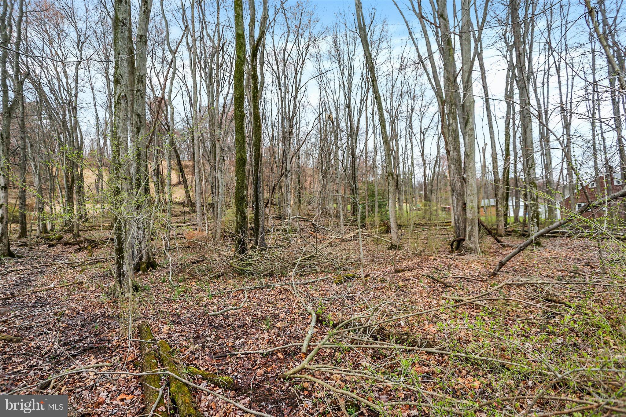 Lot 3 Cly Road York Haven, PA 17370 - Photo 15 of 20