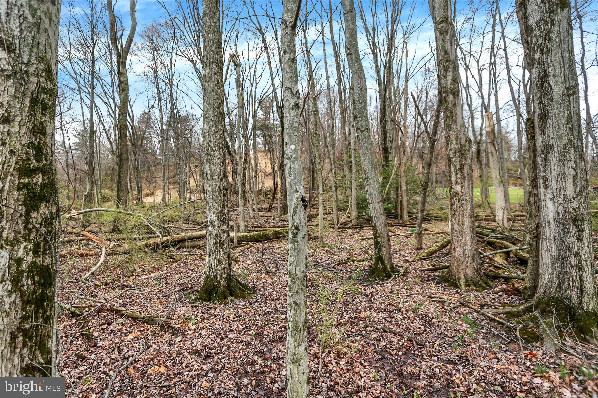 Lot 3 Cly Road York Haven, PA 17370 - Photo 17 of 20