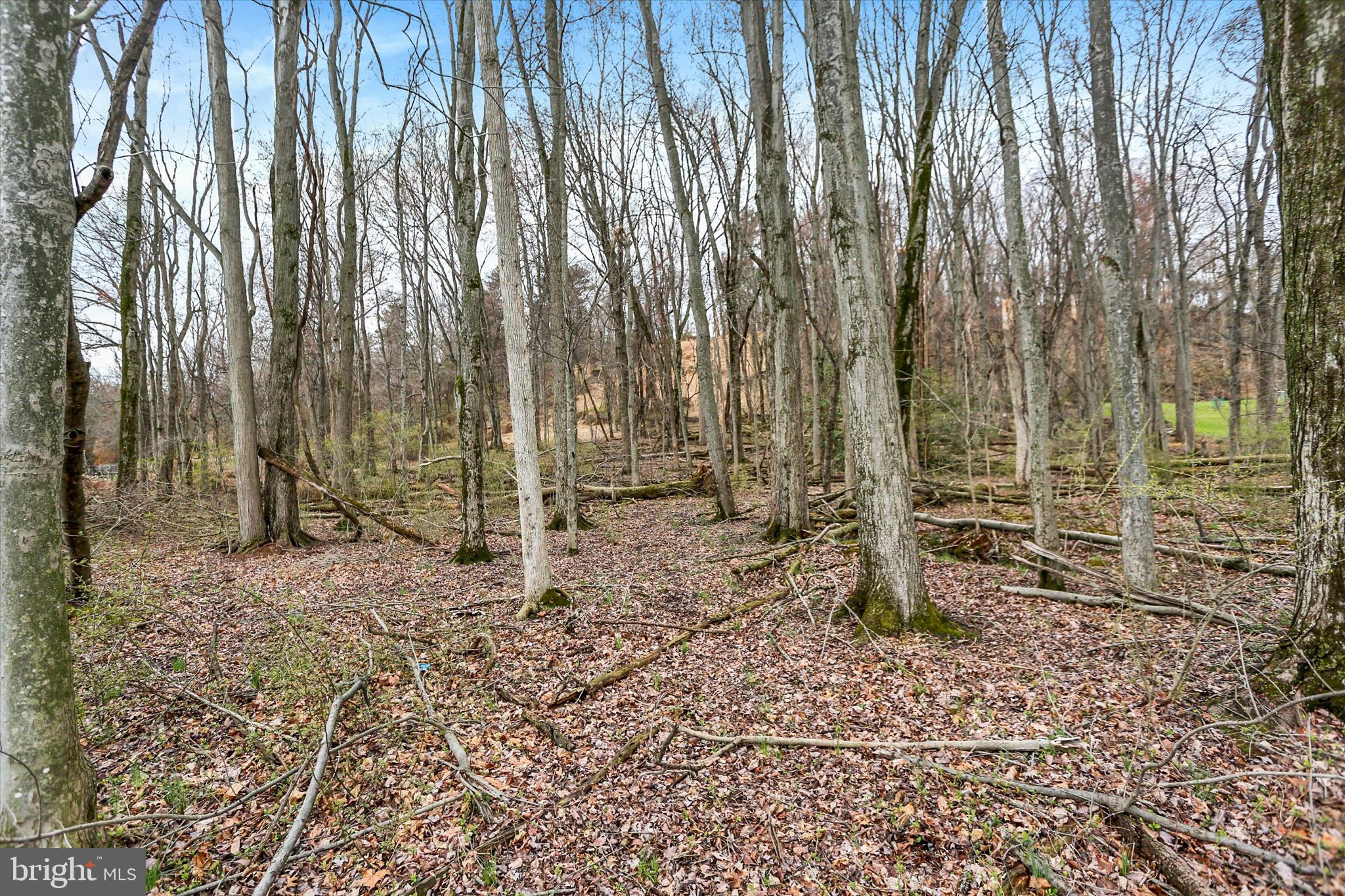 Lot 3 Cly Road York Haven, PA 17370 - Photo 19 of 20