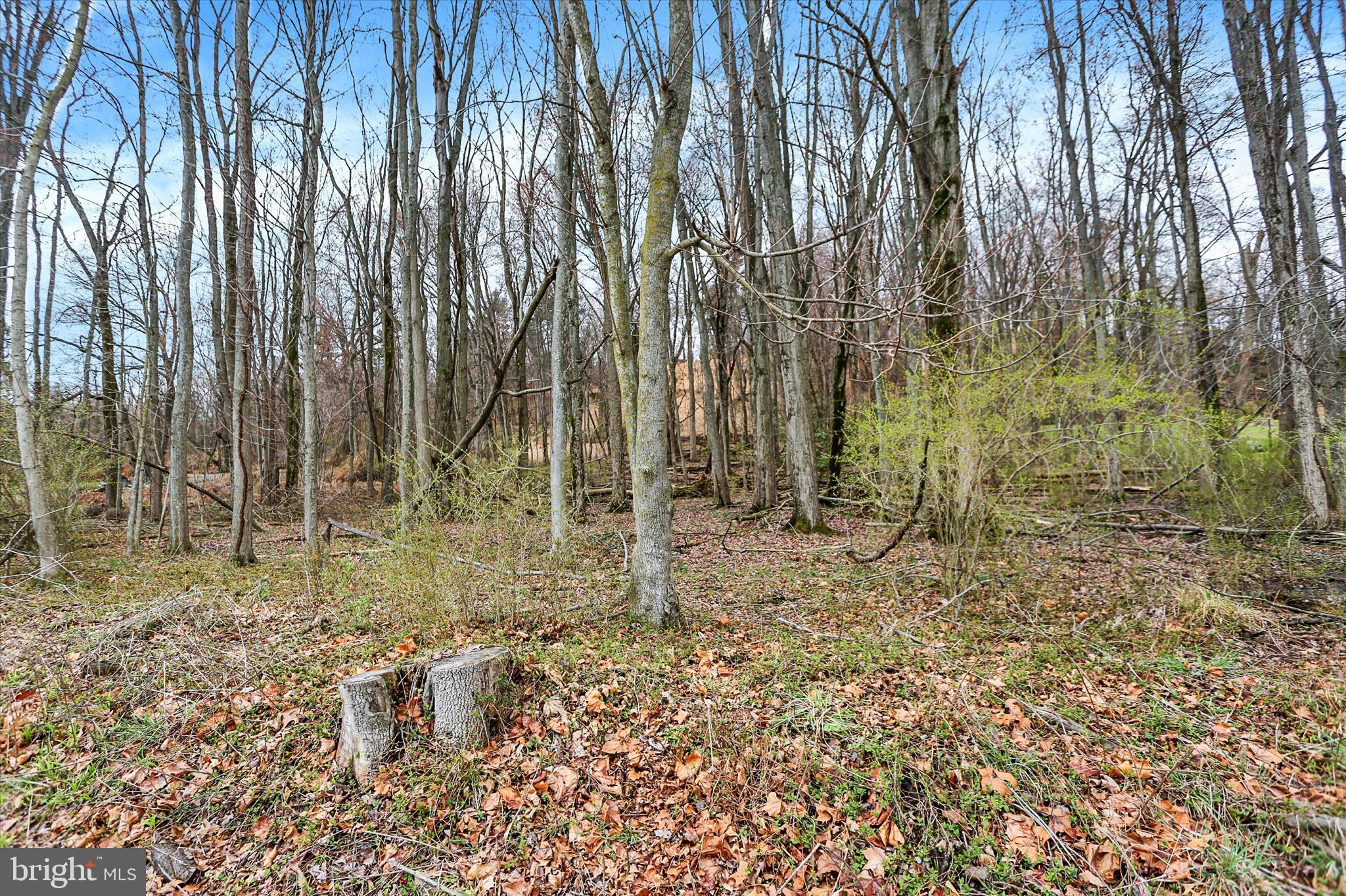 Lot 3 Cly Road York Haven, PA 17370 - Photo 20 of 20