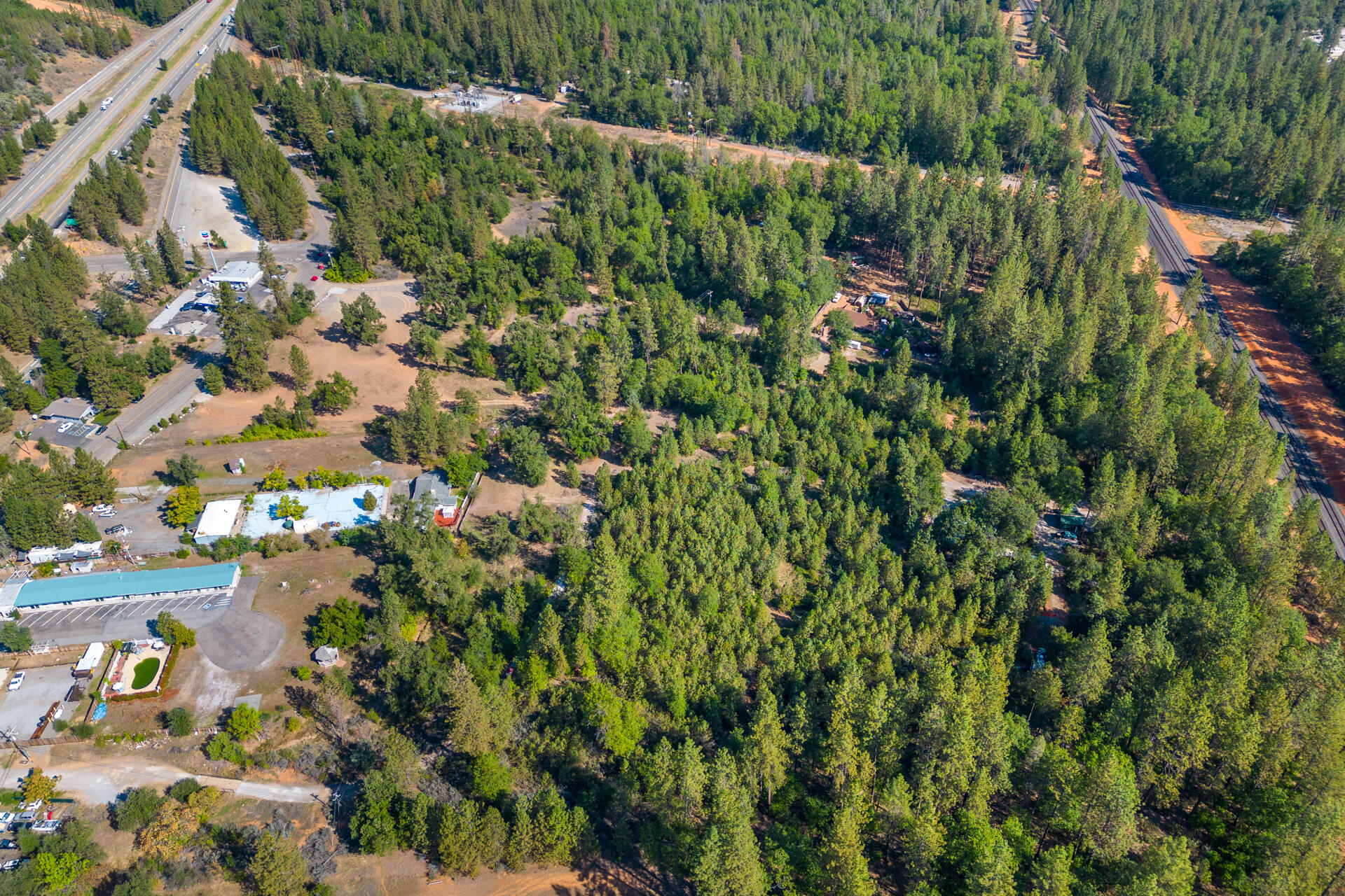 17 Acres In Lakehead Lakehead, CA 96051 - Photo 11 of 25 a view of a garden with a plant