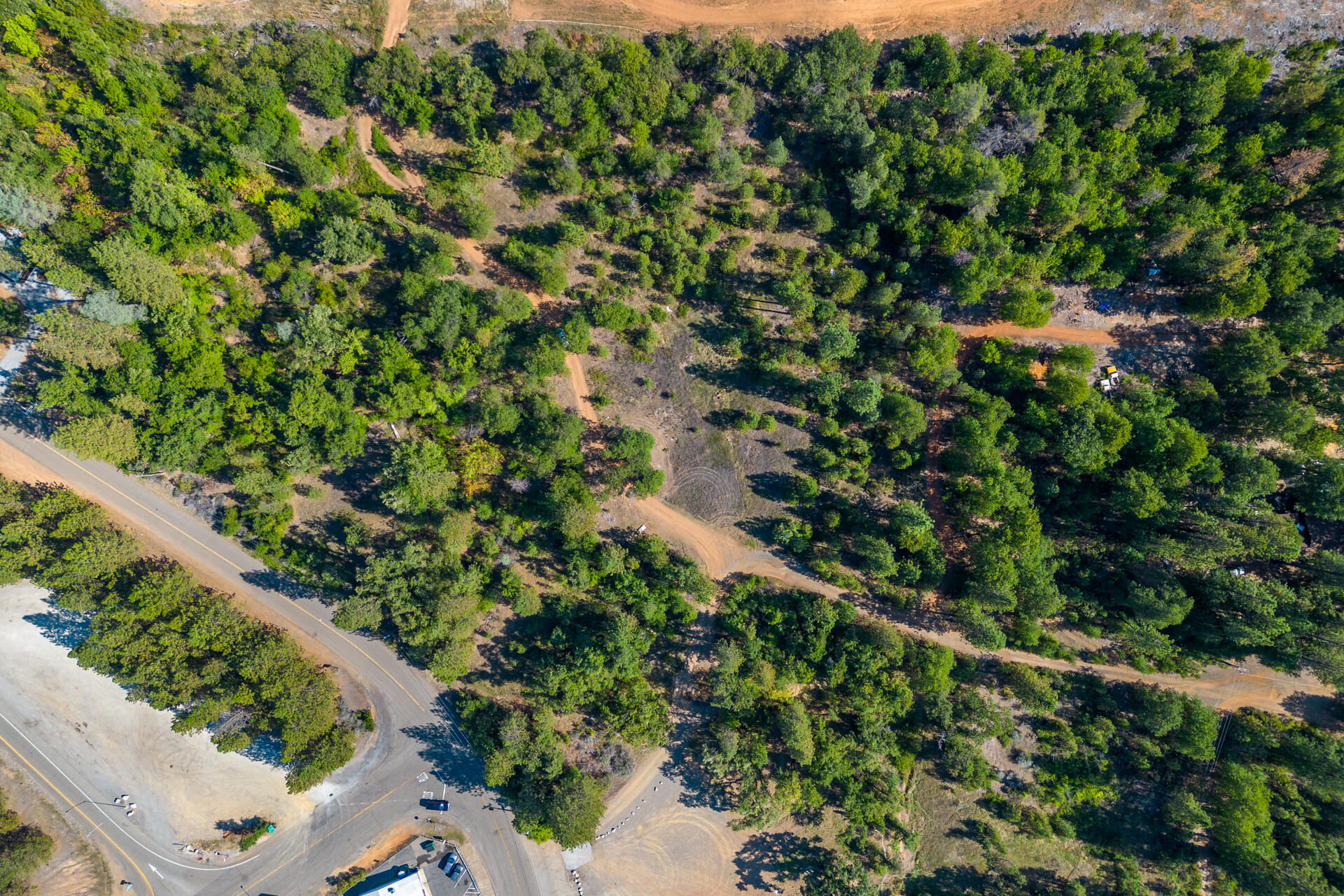 17 Acres In Lakehead Lakehead, CA 96051 - Photo 12 of 25 a view of a garden with a plant