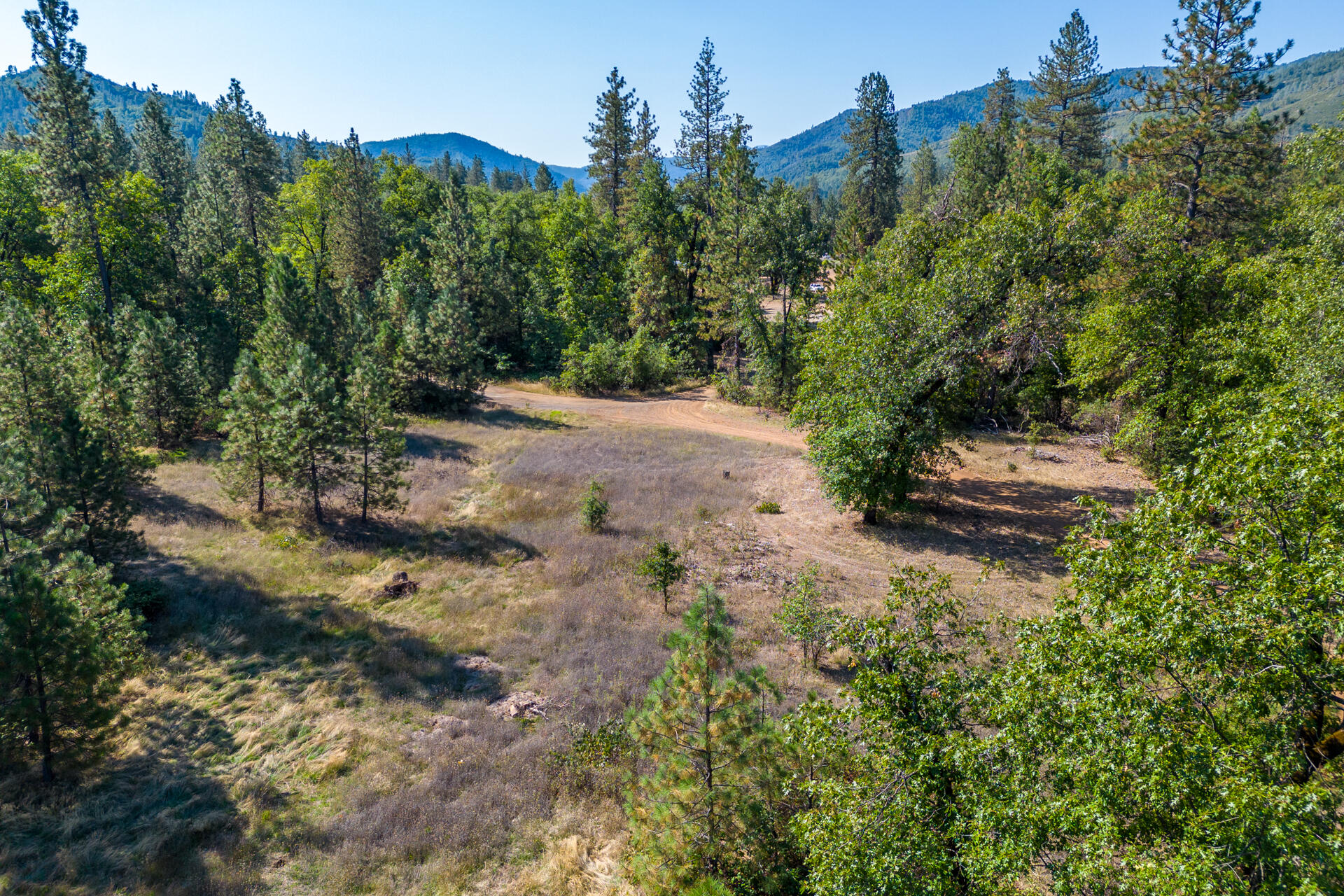 17 Acres In Lakehead Lakehead, CA 96051 - Photo 13 of 25 a view of a yard with plants and a trees