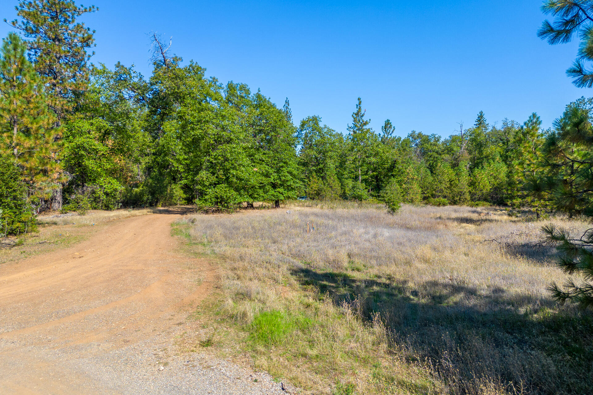 17 Acres In Lakehead Lakehead, CA 96051 - Photo 14 of 25 a view of a road with a yard