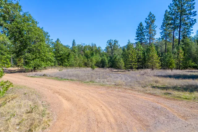 a view of a dry yard with trees