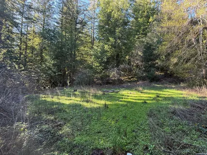 $995,000 | 1000 Harmon Gulch Road, Boulder Creek, CA 95006