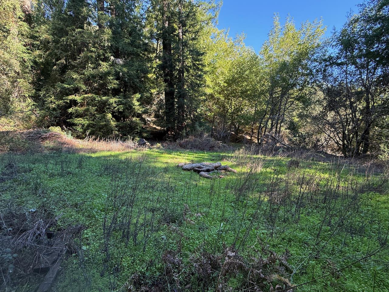 1000 Harmon Gulch Road Boulder Creek, CA 95006 - Photo 31 of 44 a view of a lake in a yard