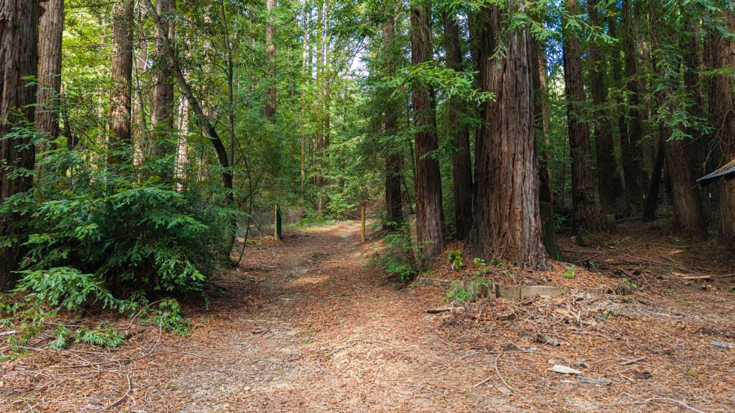 1000 Harmon Gulch Road Boulder Creek, CA 95006 - Photo 34 of 44 a big yard with lots of green space and trees