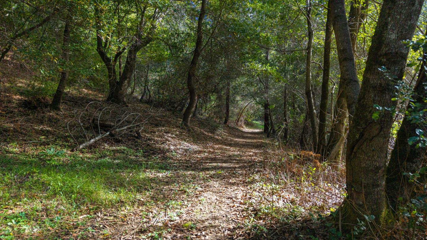 1000 Harmon Gulch Road Boulder Creek, CA 95006 - Photo 36 of 44 a view of a yard with large trees