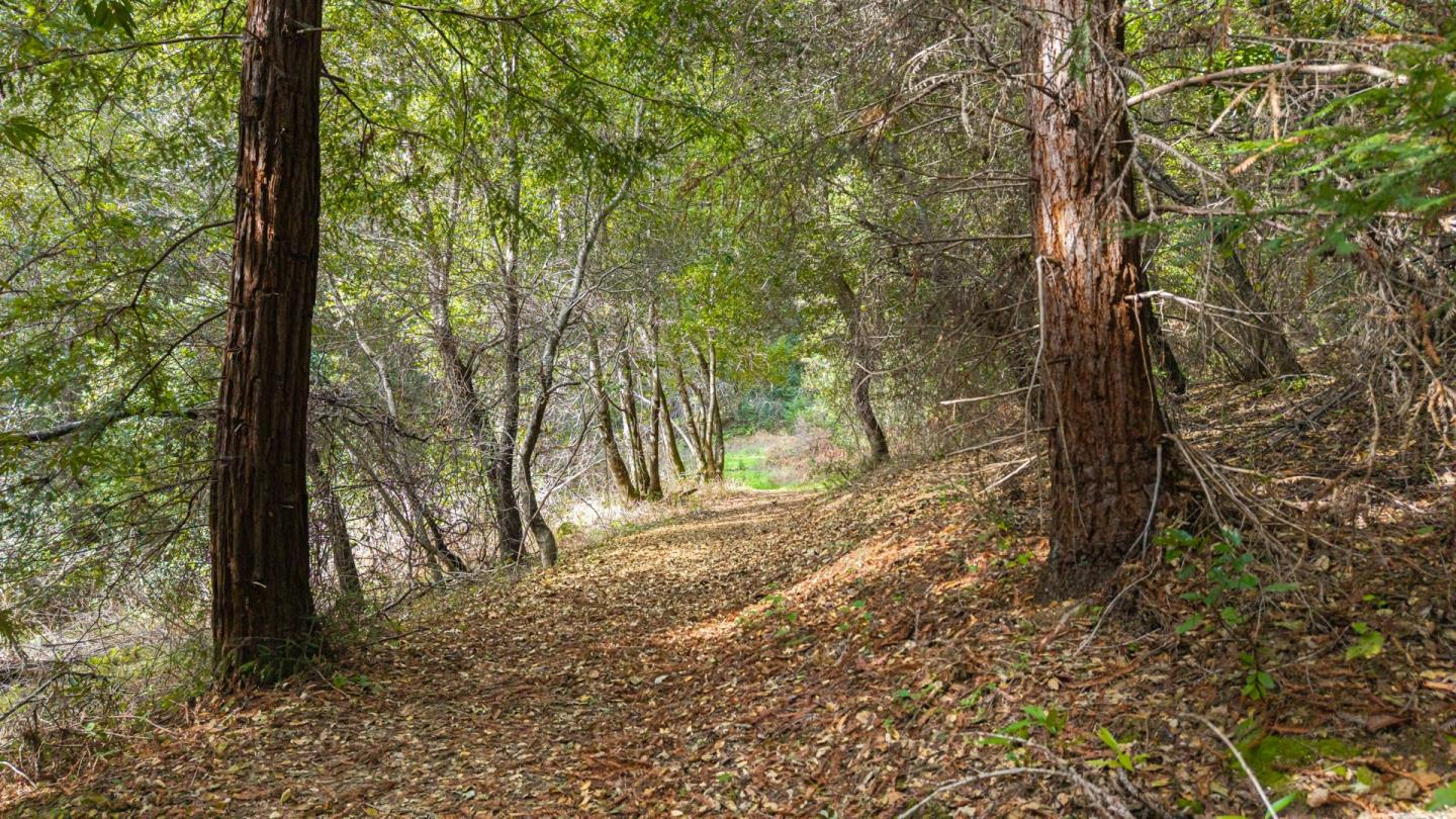 1000 Harmon Gulch Road Boulder Creek, CA 95006 - Photo 37 of 44 a view of backyard with trees