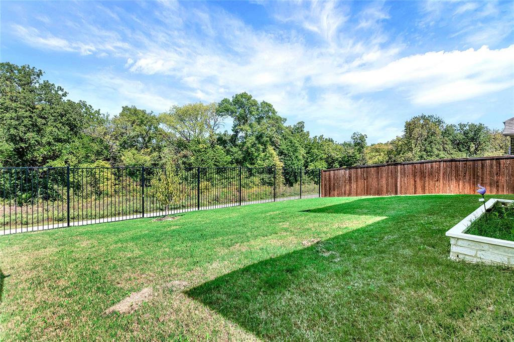 3712 Maroon Creek Road Aubrey, TX 76227 - Photo 20 of 21 a view of a garden with a trampoline