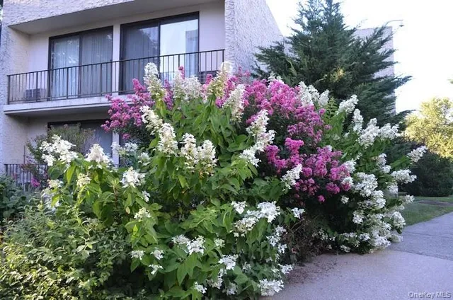 a view of a bunch of flowers