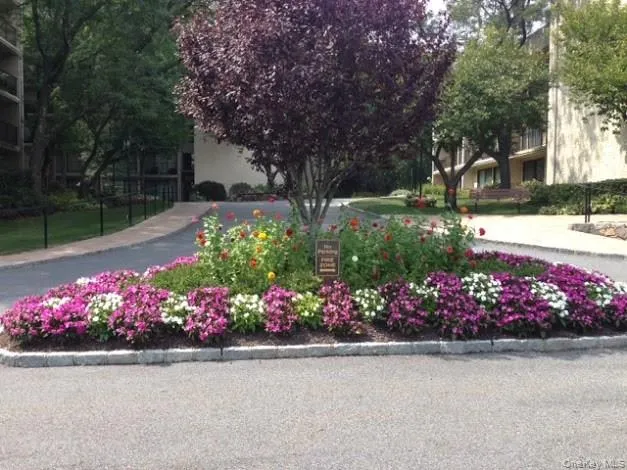 a view of a flowers in front of flowers