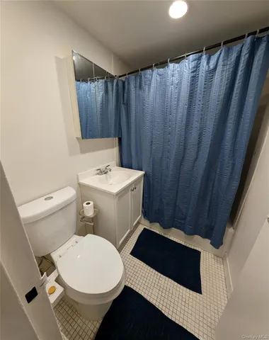 a bathroom with a sink a toilet and a shower