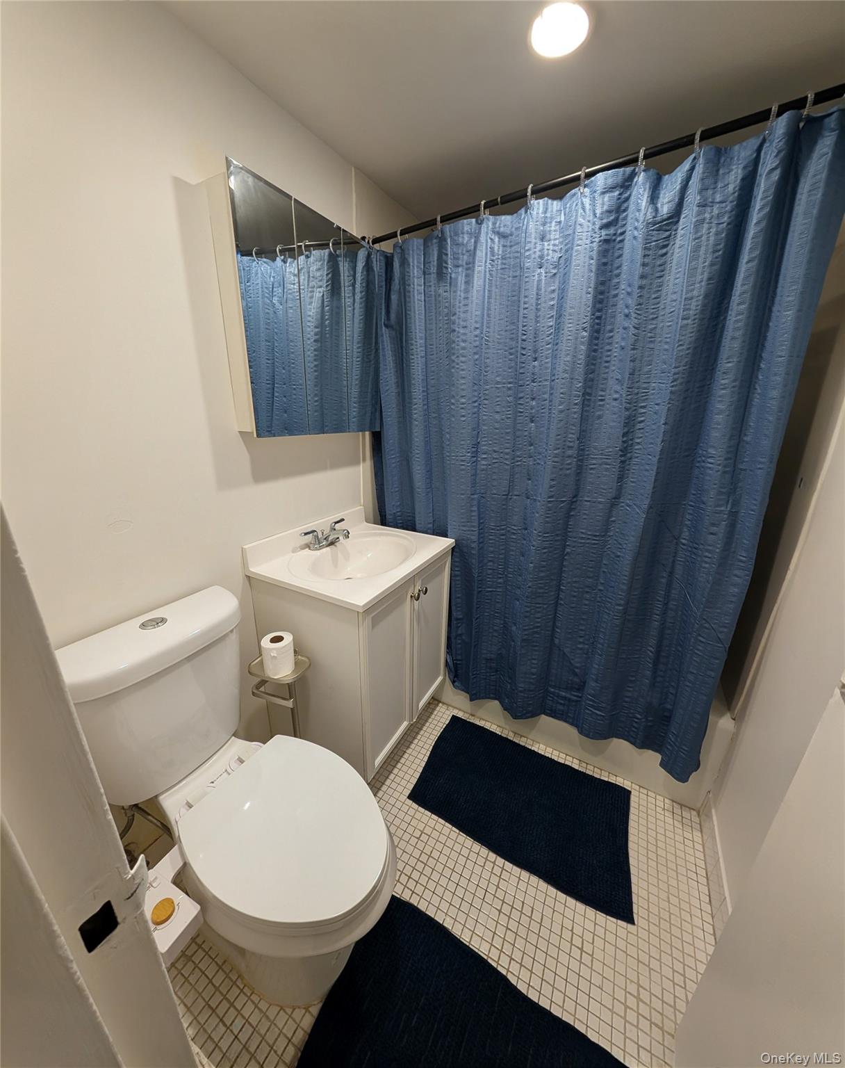 150 Overlook Avenue, Unit 4L Peekskill, NY 10566 - Photo 27 of 32 a bathroom with a sink a toilet and a shower