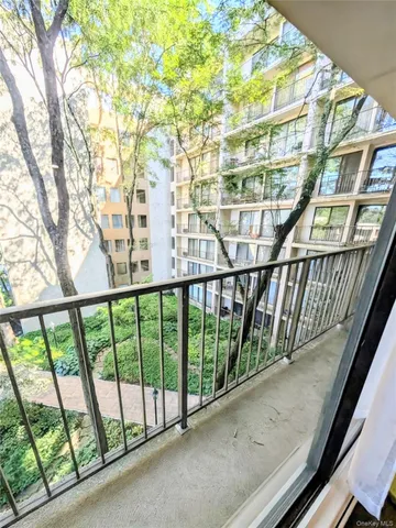 a view of a garden with plants and trees