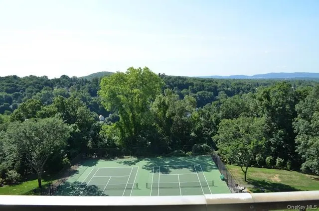 a view of a back yard