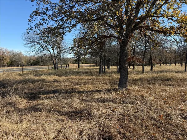 a view of dirt yard with a trees
