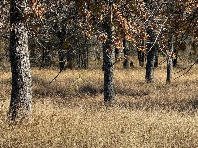 $169,000 | 1403 Rd Morgan Tx 76671 Road, Unit 1403, Morgan, TX 76671