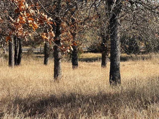 $169,000 | 1403 Rd Morgan Tx 76671 Road, Unit 1403, Morgan, TX 76671