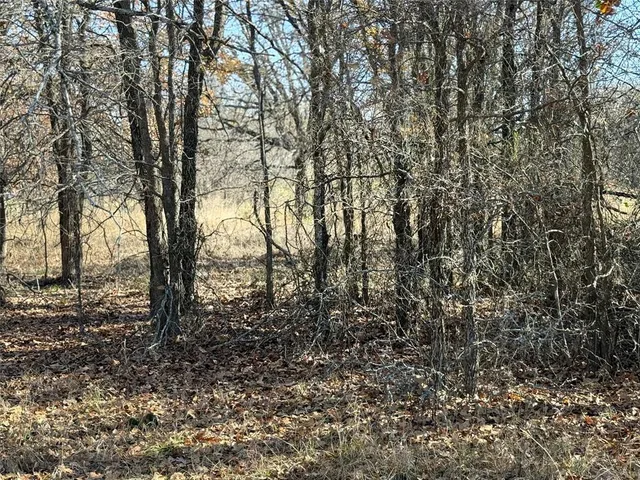 $169,000 | 1403 Rd Morgan Tx 76671 Road, Unit 1403, Morgan, TX 76671