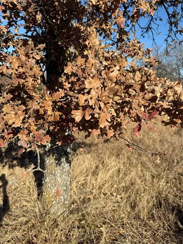 $169,000 | 1403 Rd Morgan Tx 76671 Road, Unit 1403, Morgan, TX 76671