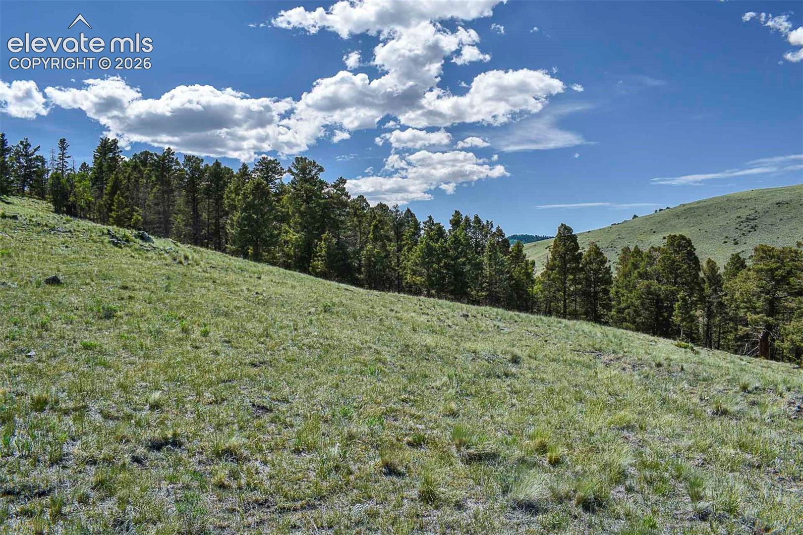 0 Bear Cat Road Guffey, CO 80820 - Photo 25 of 40 Gallery Image 25