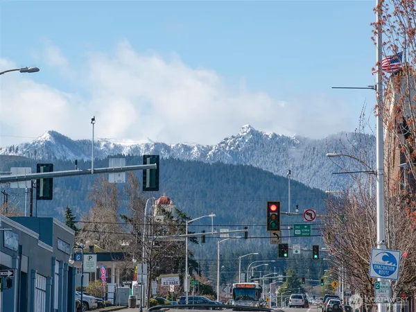 a view of a town with large trees