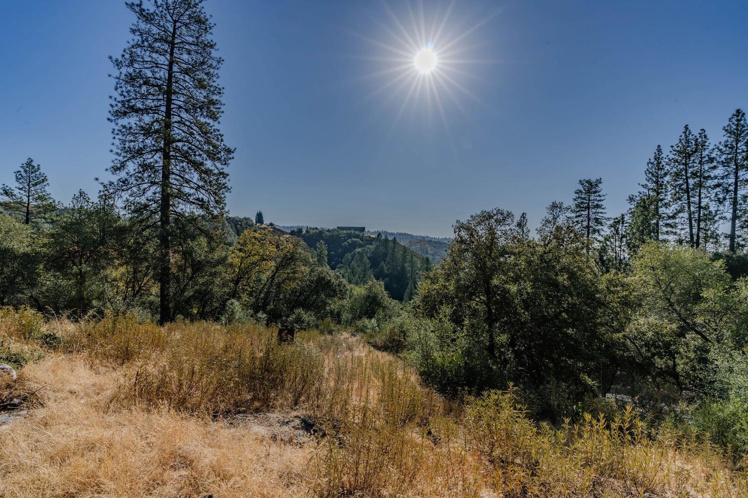 5793 Forest Lake Road Diamond Springs, CA 95619 - Photo 11 of 27 a view of a lake with a forest